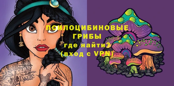 МДМА Протвино
